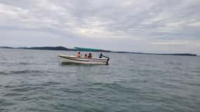 Trincomalee: Whales & Dolphin Watching Tours