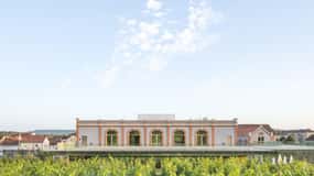 Aÿ-Champagne: Museu Pressoria do Champanhe com degustação
