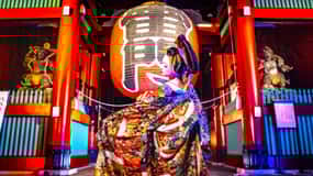 Tokyo: Biglietto per il teatro di danza cabaret giapponese Asakusa-Kaguwa
