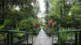Tortuguero: Recorre el Sendero del Cerro Tortuguero