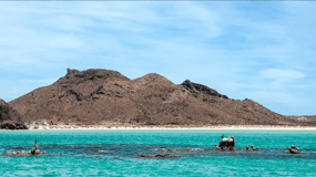La Paz: Passeio de barco à ilha do Espírito Santo e aos saveiros