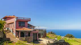 Tacoronte: Guided Winery Tour with Wine and Cheese Tastings