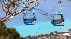 From Melbourne: Mornington Peninsula Tour and Puffing Billy