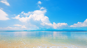 Koh Samui: Private Half-day Taxi Tour in the North