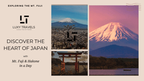 Mt Fuji Sightseeing Private tour with English Speaking Guide