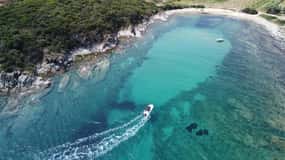 Become the Captain and Learn to Drive a Boat 4 hours