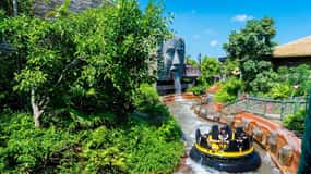 Hong Kong: Biglietto d'ingresso al parco oceanico + Pass OceanFasTrack
