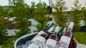Shamakhi-Lahij and Winery Tour
