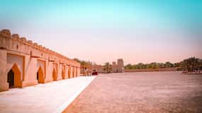 Abu Dhabi: Full-Day Al Ain Tour with Entry Tickets and Meal