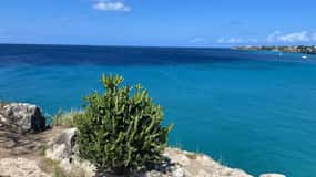 Verborgen juweeltjes van Curaçao met strandwandeltour