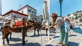From Athens: Hydra, Poros & Aegina Island Cruise with Lunch