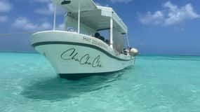 From Cozumel: Snorkel Private Charter to el Cielo & Cielito
