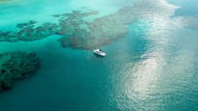Bermuda: Two Stop Snorkel & Shipwreck (From Dockyard)