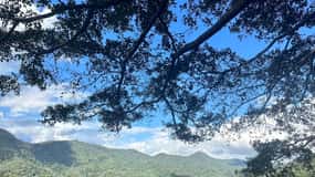 CNX: Trekking & Villager living in forest, tea& coffee farm