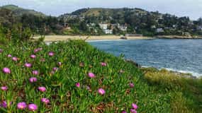 Santiago: Zapallar Beach Private Day Trip