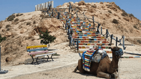 From Djerba: Day Trip Desert Douz and Matmata