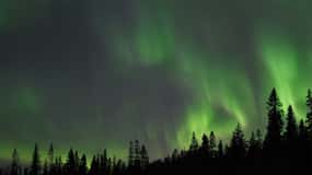 Luleå: Nordlichttour mit dem Auto und Guide