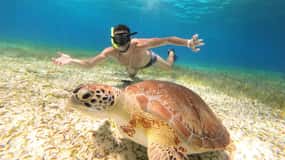 Excursion FRANCOPHONE inoubliable Cozumel El Cielo et tortue