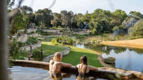 Melbourne: Mornington Peninsula Hot Springs and Winery Tour