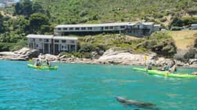 Cape Town: Guided Kayaking in Hout Bay