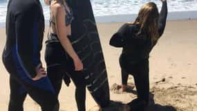 Santa Barbara: Surf, Yoga, Hike, Hot Springs, and City Tour
