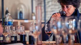 Château de Terride: tour of the winery & wine tasting