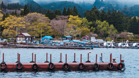 From Tokyo: Hakone, Lake Ashi Private Sightseeing Day Trip.