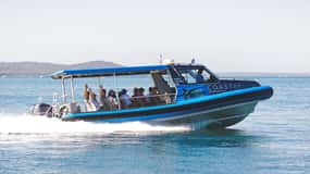 Lake Macquarie: Cruise and Guided Nature Walk with Lunch