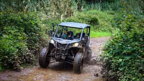 Madeira Island: Buggy FunTrip - Guidet offroad-buggyeventyr