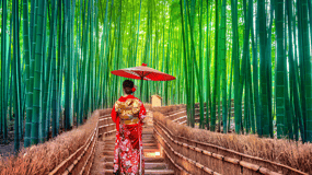 Osaka/Kyoto: Private Kyoto and Nara Day Trip