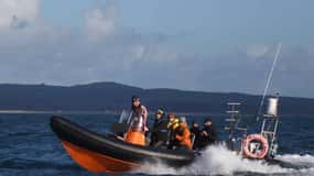 Cornwall: 2 hour Wildlife Watching RIB Tour Adventure