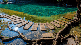 Krabi: Rainforest Jungle Tour with Emerald Pool & Hot Spring