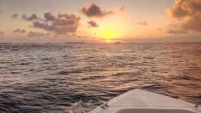 Maldives: Sunset Cruise with Dolphin Watching