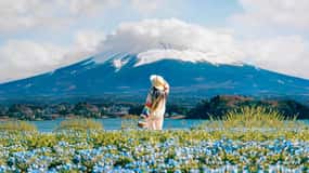 Tokio: Celodenní výlet po šesti majestátních místech hory Fuji