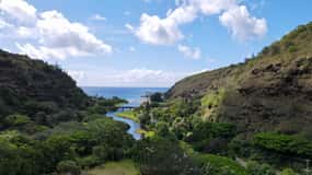 Oahu: Private Tour-North Shore feat. Waimea Falls