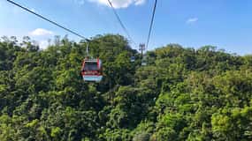 Sip & Savor : 🚠 Visite privée d'une journée au thé Maokong et au tofu Shenkeng