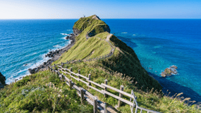 Hokkaido, Sappro,Otaru & Cape Kamui| One-day tour