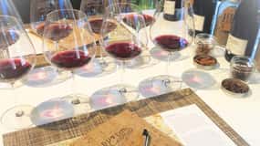 Dutton-Goldfield Winery: Pinot Noir Tasting