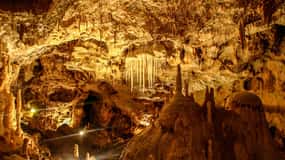 La grotta dell'Orso: Tour di 1 giorno in auto con aria condizionata da Oradea