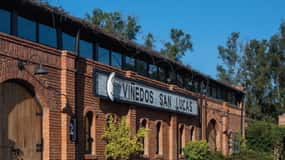 Sensory Wine Tasting Experience at San Lucas Vineyard