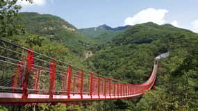 DMZ (3rd Tunnel)+Suspension Bridge Guided Private Tour