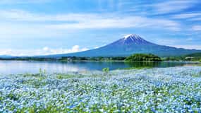 Tokyo: Mt. Fuji and Kawaguchiko Full-Day English Guided Tour