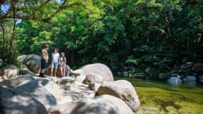 Cairns: Daintree Rainforest & Cape Tribulation Day Trip