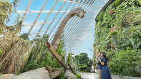 Singapore: Gardens by the Bay Bundle Entry Ticket