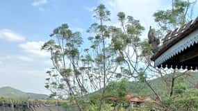 A excursão de meio dia com o campo inclui a Quinta da Pimenta