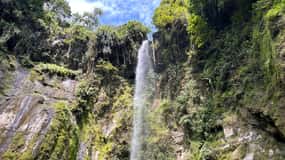 Arusha: Excursión guiada a las Cascadas de Napuru