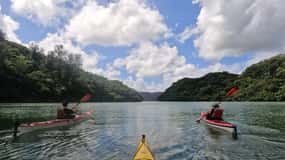 Okinawa: Private Kayak Mangrove or Reef with Native English