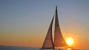 Bari: Half-Day Dolphin-Searching Sailboat Cruise with Snack
