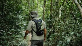 De Siem Reap: Excursão de trekking ao Parque Nacional Phnom Kulen