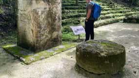 Bacalar : Excursion d'une journée aux ruines de Calakmul avec arrêt dans la jungle